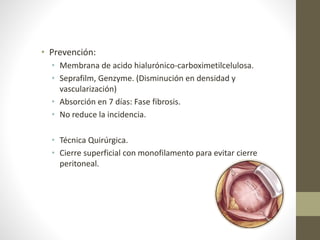 • Prevención:
• Membrana de acido hialurónico-carboximetilcelulosa.
• Seprafilm, Genzyme. (Disminución en densidad y
vascularización)
• Absorción en 7 días: Fase fibrosis.
• No reduce la incidencia.
• Técnica Quirúrgica.
• Cierre superficial con monofilamento para evitar cierre
peritoneal.
 