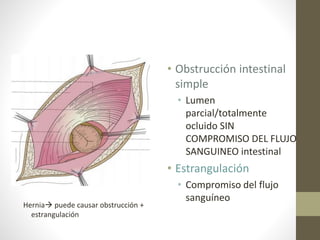 Hernia puede causar obstrucción +
estrangulación
• Obstrucción intestinal
simple
• Lumen
parcial/totalmente
ocluido SIN
COMPROMISO DEL FLUJO
SANGUINEO intestinal
• Estrangulación
• Compromiso del flujo
sanguíneo
 