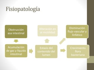Fisiopatología
Obstrucción
asa intestinal
Acumulación
de gas y líquido
intestinal
Estasis del
contenido del
lumen
Alteración en
al motilidad
Crecimiento
flora
bacteriana
Disminución
flujo vascular y
linfático
 