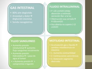 GAS INTESTINAL
• 80% aire deglutido
• Ansiedad y dolor
deglución excesiva
• Sonda nasogástrica
FLUIDO INTRALUMINAL
• P >20 cmH2O inhibe
absorción y estimula
secreción Na+ a la luz
• Obstrucción asa cerrada
P>50cmH2O
• Asa abierta no supera (-12
cmH2O
FLUJO SANGUINEO
• Aumento presión
intraluminal aumento
flujo sanguíneo inicialmente
• Aumento presión
hidrostática + paso de
agua al lumen
• > Aumento presión >
compromiso irrigación
MOTILIDAD INTESTINAL
• Acumulación gas y líquido
cambios mioeléctricos en
intestino
• 1. Aumento contractilidad
• 2. Contracciones asincrónicas
• 3. Distensión segmento
obstruido
 