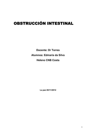 OBSTRUCCIÓN INTESTINAL




         Docente: Dr Torres
      Alumnos: Edmaria da Silva
         Heleno CNB Costa




            La paz 20/11/2012




                                  1
 