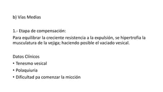 b) Vías Medias
1.- Etapa de compensación:
Para equilibrar la creciente resistencia a la expulsión, se hipertrofia la
musculatura de la vejiga; haciendo posible el vaciado vesical.
Datos Clínicos
• Tenesmo vesical
• Polaquiuria
• Dificultad pa comenzar la micción
 