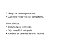2.- Etapa de descompensación:
• Cuando la vejiga ya no es competente.
Datos clínicos
• Dificultad para la micción
• Flujo muy débil y delgado
• Aumento en cantidad de orina residual
 