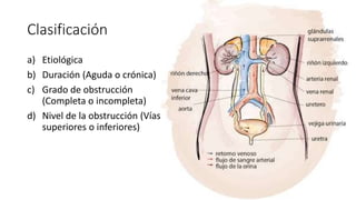 Clasificación
a) Etiológica
b) Duración (Aguda o crónica)
c) Grado de obstrucción
(Completa o incompleta)
d) Nivel de la obstrucción (Vías
superiores o inferiores)
 