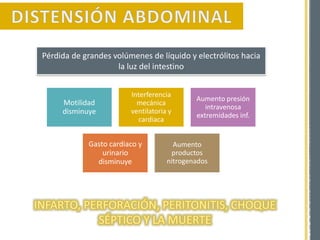 Motilidad
disminuye
Interferencia
mecánica
ventilatoria y
cardiaca
Aumento presión
intravenosa
extremidades inf.
Gasto cardiaco y
urinario
disminuye
Aumento
productos
nitrogenados
Pérdida de grandes volúmenes de líquido y electrólitos hacia
la luz del intestino
 