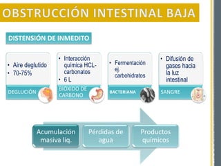 • Aire deglutido
• 70-75%
DEGLUCIÓN
• Interacción
química HCL-
carbonatos
• 6 L
BIÓXIDO DE
CARBONO
• Fermentación
ej.
carbohidratos
BACTERIANA
• Difusión de
gases hacia
la luz
intestinal
SANGRE
DISTENSIÓN DE INMEDITO
Acumulación
masiva liq.
Pérdidas de
agua
Productos
químicos
 