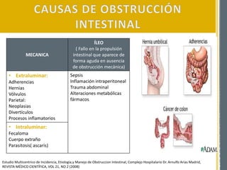 Estudio Multicentrico de Incidencia, Etiologia,y Manejo de Obstruccion Intestinal, Complejo Hospitalario Dr. Arnulfo Arias Madrid,
REVISTA MÉDICO CIENTÍFICA, VOL 21, NO 2 (2008)
MECANICA
ÍLEO
( Fallo en la propulsión
intestinal que aparece de
forma aguda en ausencia
de obstrucción mecánica)
• Extraluminar:
Adherencias
Hernias
Vólvulos
Parietal:
Neoplasias
Divertículos
Procesos inflamatorios
Sepsis
Inflamación intraperitoneal
Trauma abdominal
Alteraciones metabólicas
fármacos
• Intraluminar:
Fecaloma
Cuerpo extraño
Parasitosis( ascaris)
 