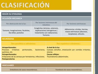 SEGÚN SU ETIOLOGIA
OCLUSIÓN MECANICA
Por obstrucción de la luz:
Por lesiones intrínsecas del
intestino:
Por lesiones extrínsecas:
Tumores, invaginaciones, fecalotas,
íleo biliar, parásitos
Congénitas (atresias, estenosis,
duplIcaciones) Iatrogénicas (
tratamiento con radiaciones).
Tumores.
Adherencias o bridas, hernias,
masas extrínsecas (abscesos,
neoplasias), vólvulos.
NEURÓGENA
Íleo paralítico o adinámico: Íleo espástico o dinámico.:
Intraperitoneales:
Procesos irritativos peritoneales, bacterianos,
químicos, etc.
Extraperitoneales:
Irritaciones de las serosas por hematomas, infecciones.
Postoperatorios
A nivel de la luz:
Cuerpos extraños ,intoxicación por comidas irritantes,
úlceras.
Causas reflejas:
Traumatismos abdominales.
VASCULARES
Embolismo de vasos mesentéricos. Trombosis de vasos mesentéricos.
 