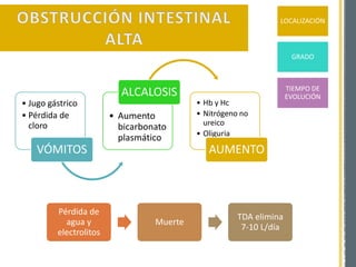 LOCALIZACIÓN
GRADO
TIEMPO DE
EVOLUCIÓN
• Jugo gástrico
• Pérdida de
cloro
VÓMITOS
• Aumento
bicarbonato
plasmático
ALCALOSIS
• Hb y Hc
• Nitrógeno no
ureico
• Oliguria
AUMENTO
Pérdida de
agua y
electrolitos
Muerte
TDA elimina
7-10 L/día
 