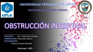 DOCENTE: Dra. Tagle Morla Andrea
ASIGNATURA: Externado Médico
ESTUDIANTES:
• Chávez Huaroto Mishelle
Huancayo - 2023
 