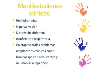 Manifestaciones clínicas. Polihidramnios Hipersalivación Distensión abdominal Insuficiencia respiratoria En etapas tardías problemas respiratorios crónicos como broncoespasmos resistentes y neumonías a repetición. 