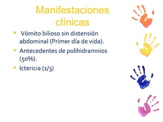Manifestaciones clínicas Vómito bilioso sin distensión abdominal (Primer día de vida). Antecedentes de polihidramnios (50%). Ictericia (1/3) 