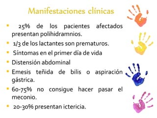 25% de los pacientes afectados presentan polihidramnios. 1/3 de los lactantes son prematuros. Síntomas en el primer día de vida Distensión abdominal  Emesis teñida de bilis o aspiración gástrica. 60-75% no consigue hacer pasar el meconio. 20-30% presentan ictericia. 