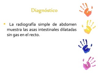 La radiografía simple de abdomen muestra las asas intestinales dilatadas sin gas en el recto.  