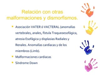Relación con otras malformaciones y dismorfismos. Asociación VATER ó VACTERAL (anomalías vertebrales, anales, fístula Traqueoesofágica, atresia Esofágica y displasias Radiales y Renales. Anomalías cardíacas y de los miembros (Limb). Malformaciones cardiacas Síndrome Down 