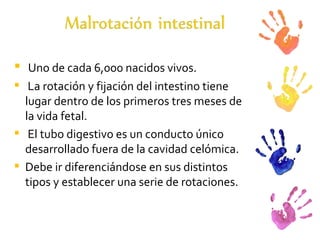 Uno de cada 6,000 nacidos vivos. La rotación y fijación del intestino tiene lugar dentro de los primeros tres meses de la vida fetal. El tubo digestivo es un conducto único desarrollado fuera de la cavidad celómica. Debe ir diferenciándose en sus distintos tipos y establecer una serie de rotaciones. 
