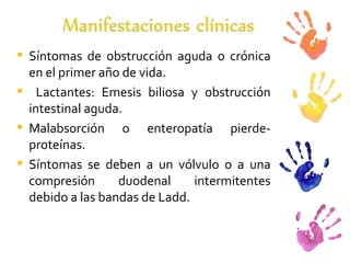 Síntomas de obstrucción aguda o crónica en el primer año de vida. Lactantes: Emesis biliosa y obstrucción intestinal aguda. Malabsorción o enteropatía pierde- proteínas. Síntomas se deben a un vólvulo o a una compresión duodenal intermitentes debido a las bandas de Ladd. 