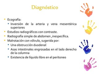 Ecografía: Inversión de la arteria y vena mesentérica superiores Estudios radiográficos con contraste. Radiografía simple de abdomen ,inespecífica. Malrotación con vólvulo, sugerida por: Una obstrucción duodenal Asas intestinales engrosadas en el lado derecho de la columna  Existencia de líquido libre en el peritoneo 