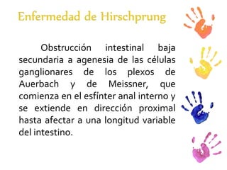 Obstrucción intestinal baja secundaria a agenesia de las células ganglionares de los plexos de Auerbach y de Meissner, que comienza en el esfínter anal interno y se extiende en dirección proximal hasta afectar a una longitud variable del intestino. 