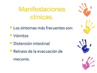 Manifestaciones clínicas. Los síntomas más frecuentes son: Vómitos Distensión intestinal Retraso de la evacuación de meconio. 