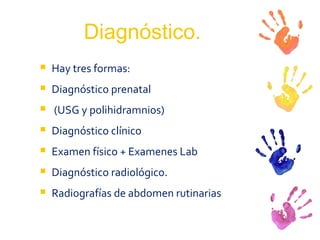 Diagnóstico. Hay tres formas: Diagnóstico prenatal (USG y polihidramnios) Diagnóstico clínico Examen físico + Examenes Lab Diagnóstico radiológico. Radiografías de abdomen rutinarias 