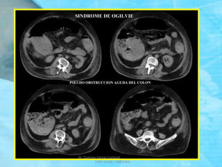 Dr. Eugenio Vargas Carbajal
CMP 11161 - RNE 4368
 