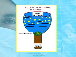 Dr. Eugenio Vargas Carbajal
CMP 11161 - RNE 4368
 