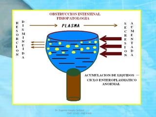 Dr. Eugenio Vargas Carbajal
CMP 11161 - RNE 4368
 