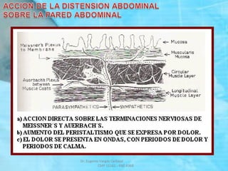 Dr. Eugenio Vargas Carbajal
CMP 11161 - RNE 4368
 