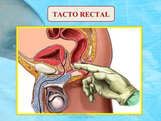 TACTO RECTAL
Dr. Eugenio Vargas Carbajal
CMP 11161 - RNE 4368
 