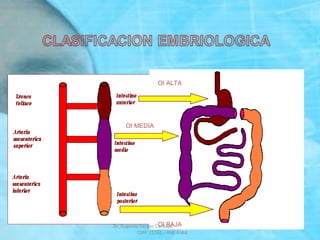 OI ALTA
OI MEDIA
OI BAJADr. Eugenio Vargas Carbajal
CMP 11161 - RNE 4368
 