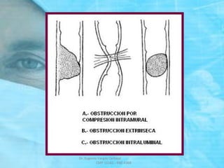 Dr. Eugenio Vargas Carbajal
CMP 11161 - RNE 4368
 