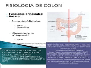ppt OBSTRUCCION DEL INTESTINO GRUESO.pptx