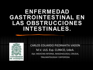 ENFERMEDAD GASTROINTESTINAL EN LAS OBSTRUCCIONES INTESTINALES. CARLOS EDUARDO PIEDRAHITA VADON M.V. ULS. Esp. CLINICO, UdeA. Dipl. MEDICINA INTERNA, IMAGENOLOGIA, CIRUGIA, TRAUMATOLOGIA Y ORTOPEDIA 