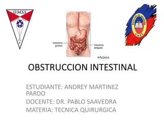 OBSTRUCCION INTESTINAL
ESTUDIANTE: ANDREY MARTINEZ
PARDO
DOCENTE: DR. PABLO SAAVEDRA
MATERIA: TECNICA QUIRURGICA
 