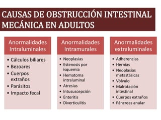 CAUSAS DE OBSTRUCCIÓN INTESTINAL
MECÁNICA EN ADULTOS
Anormalidades
Intraluminales
• Cálculos biliares
• Bezoares
• Cuerpos
extraños
• Parásitos
• Impacto fecal
Anormalidades
Intramurales
• Neoplasias
• Estenosis por
isquemia
• Hematoma
intraluminal
• Atresias
• Intususcepción
• Enteritis
• Diverticulitis
Anormalidades
extraluminales
• Adherencias
• Hernias
• Neoplasias
metastásicas
• Vólvulo
• Malrotación
intestinal
• Cuerpos extraños
• Páncreas anular
 