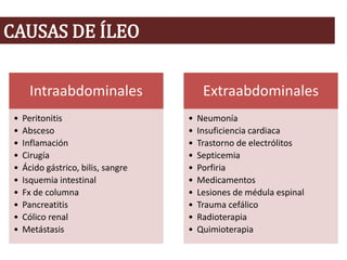 CAUSAS DE ÍLEO
Intraabdominales
• Peritonitis
• Absceso
• Inflamación
• Cirugía
• Ácido gástrico, bilis, sangre
• Isquemia intestinal
• Fx de columna
• Pancreatitis
• Cólico renal
• Metástasis
Extraabdominales
• Neumonía
• Insuficiencia cardiaca
• Trastorno de electrólitos
• Septicemia
• Porfiria
• Medicamentos
• Lesiones de médula espinal
• Trauma cefálico
• Radioterapia
• Quimioterapia
 