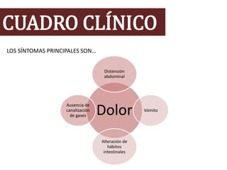 CUADRO CLÍNICO
Dolor
Distensión
abdominal
Vómito
Alteración de
hábitos
intestinales
Ausencia de
canalización
de gases
LOS SÍNTOMAS PRINCIPALES SON…
 
