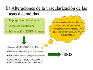B) Alteraciones de la vascularización de las
asas distendidas
• Hiperpresión intraluminal
• Agresión Bacteriana
• Inflamación (EDEMA asas)
•Fracaso MICROCIRCULACIÓN
•Dificultad irrigación y drenaje venoso
•ISQUEMIA parcial (progresiva)total
•GANGRENA  PERFORACIÓN 
PERITONITIS Y/O SEPSIS GRAVE
SRIS
Acúmulo de radicales libres,
activ. Cel. Inflamatorias
(citoquinas, quimioquinas, NO,
enz. Proteolíticas):LOCAL y
SISTÉMICO
 