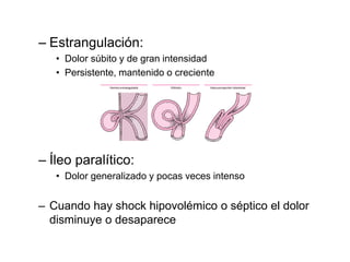– Estrangulación:
• Dolor súbito y de gran intensidad
• Persistente, mantenido o creciente
– Íleo paralítico:
• Dolor generalizado y pocas veces intenso
– Cuando hay shock hipovolémico o séptico el dolor
disminuye o desaparece
 