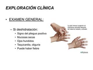EXPLORACIÓN CLÍNICA
• EXAMEN GENERAL:
– Si deshidratación:
• Signo del pliegue positivo
• Mucosas secas
• Ojos hundidos
• Taquicardia, oliguria
• Puede haber fiebre
 