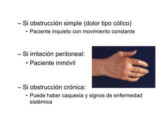 – Si obstrucción simple (dolor tipo cólico)
• Paciente inquieto con movimiento constante
– Si irritación peritoneal:
• Paciente inmóvil
– Si obstrucción crónica:
• Puede haber caquexia y signos de enfermedad
sistémica
 