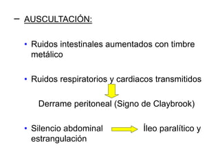 − AUSCULTACIÓN:
• Ruidos intestinales aumentados con timbre
metálico
• Ruidos respiratorios y cardiacos transmitidos
Derrame peritoneal (Signo de Claybrook)
• Silencio abdominal Íleo paralítico y
estrangulación
 