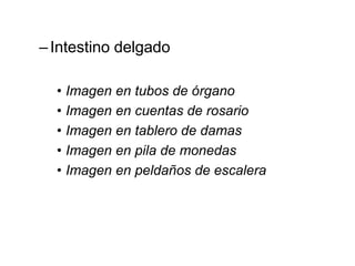 –Intestino delgado
• Imagen en tubos de órgano
• Imagen en cuentas de rosario
• Imagen en tablero de damas
• Imagen en pila de monedas
• Imagen en peldaños de escalera
 