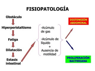 FISIOPATOLOGÍA
Obstáculo
Hiperperistaltismo
Fatiga
Dilatación
Estasis
intestinal
-Acúmulo
de gas
-Acúmulo de
líquido
+
Ausencia de
motilidad
DISTENSIÓN
ABDOMINAL
PROLIFERACIÓN
BACTERIANA
 