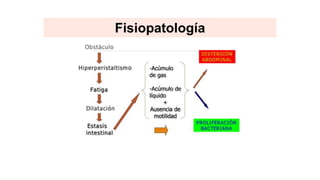 Fisiopatología
 