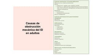 Causas de
obstrucción
mecánica del ID
en adultos
 