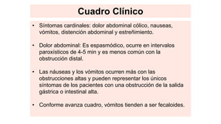 Cuadro Clínico
• Síntomas cardinales: dolor abdominal cólico, nauseas,
vómitos, distención abdominal y estreñimiento.
• Dolor abdominal: Es espasmódico, ocurre en intervalos
paroxísticos de 4-5 min y es menos común con la
obstrucción distal.
• Las náuseas y los vómitos ocurren más con las
obstrucciones altas y pueden representar los únicos
síntomas de los pacientes con una obstrucción de la salida
gástrica o intestinal alta.
• Conforme avanza cuadro, vómitos tienden a ser fecaloides.
 