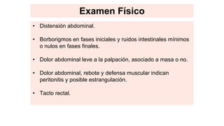 Examen Físico
• Distensión abdominal.
• Borborigmos en fases iniciales y ruidos intestinales mínimos
o nulos en fases finales.
• Dolor abdominal leve a la palpación, asociado a masa o no.
• Dolor abdominal, rebote y defensa muscular indican
peritonitis y posible estrangulación.
• Tacto rectal.
 