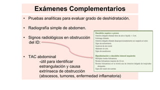 Exámenes Complementarios
• Pruebas analíticas para evaluar grado de deshidratación.
• Radiografía simple de abdomen.
• Signos radiológicos en obstrucción
del ID:
• TAC abdominal
-útil para identificar
estrangulación y causa
extrínseca de obstrucción
(abscesos, tumores, enfermedad inflamatoria)
 